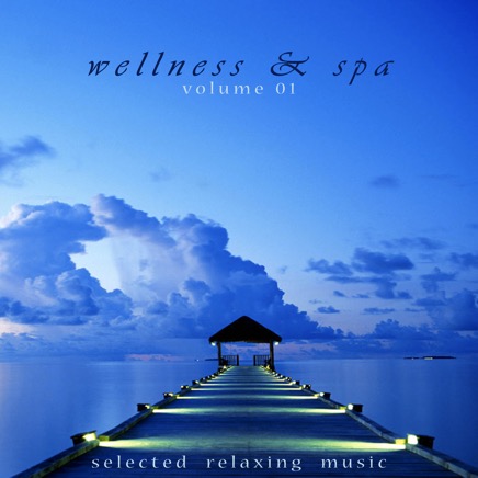 Wellness Spa 01.jpg