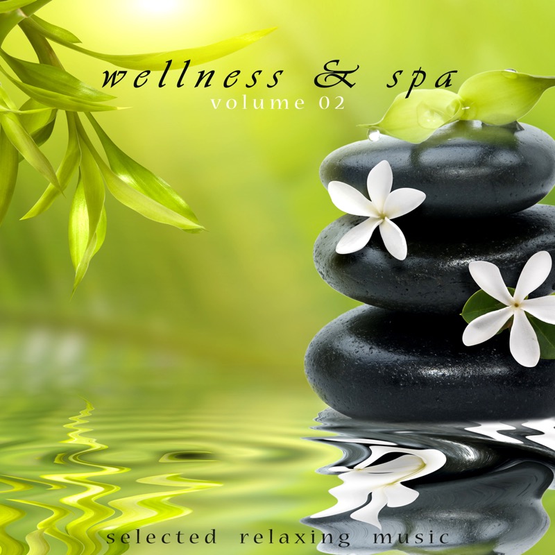 Wellness Spa 02.jpg